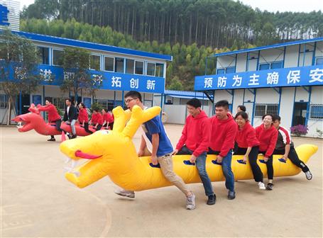 桂華分公司：素質拓展  激發活力