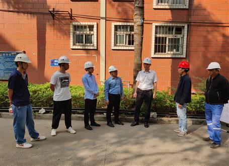 何勇、韋克雪到柳州市城市更新項目進行調(diào)研指導工作