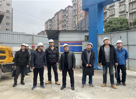 韋克雪到兩家分公司承建項目開展2025年第一季度暨復工復產安全生產質量綜合大檢查